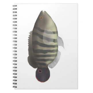 Caderno Espiral Cará-açu