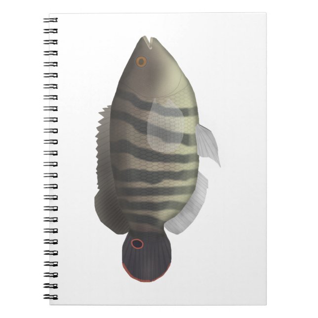 Caderno Espiral Cará-açu (Frente)