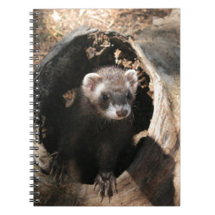 Caderno Espiral Cara da doninha