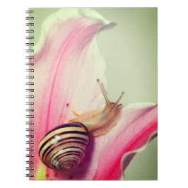 Caderno Espiral Caracol