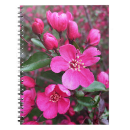 Caderno Espiral Caranguejo-Flor Rosa