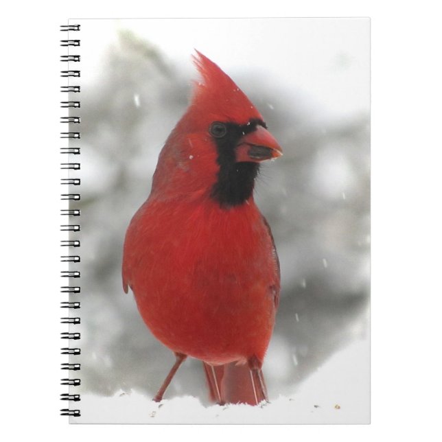 Caderno Espiral Cardinal (Frente)