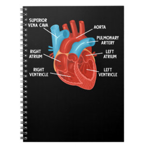 Caderno Espiral Cardiologia da Educação de Anatomia Cardíaca