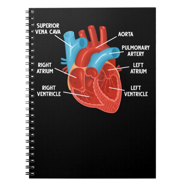 Caderno Espiral Cardiologia da Educação de Anatomia Cardíaca (Frente)