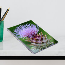 Cardo Cardoon Floral Roxo