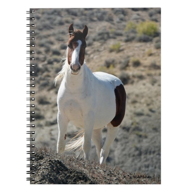 Caderno Espiral Carlitos da Bacia de Sand Wash (Frente)