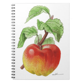 Caderno Espiral Carnet " Pomme Jeanne Hardy "