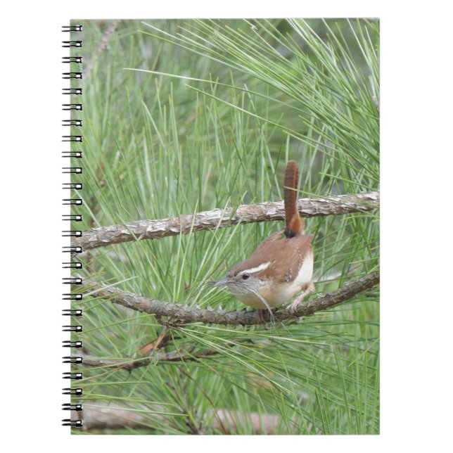 Caderno Espiral Carolina Wren em Pine Tree (Frente)
