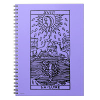 Cartão de Tarot: A lua