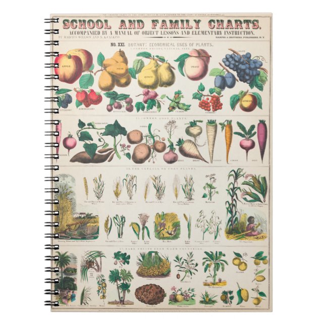 Caderno Espiral cartaz botânico de legumes (Frente)