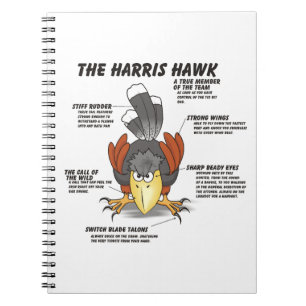 Caderno Espiral Cartoon Harris Hawk
