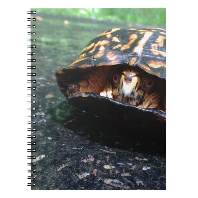 Caderno Espiral Cartucho (Frente)