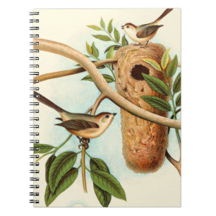Caderno Espiral Casal de pássaro em um ninho preso em uma ramific