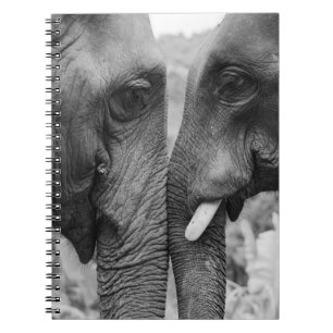 CADERNO ESPIRAL CASAL ELEPHANT