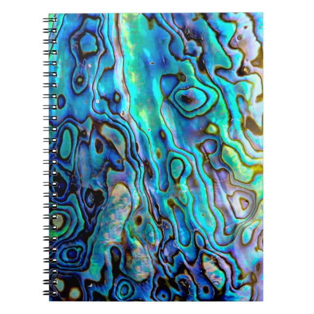 Caderno Espiral casca de Abalone (Frente)