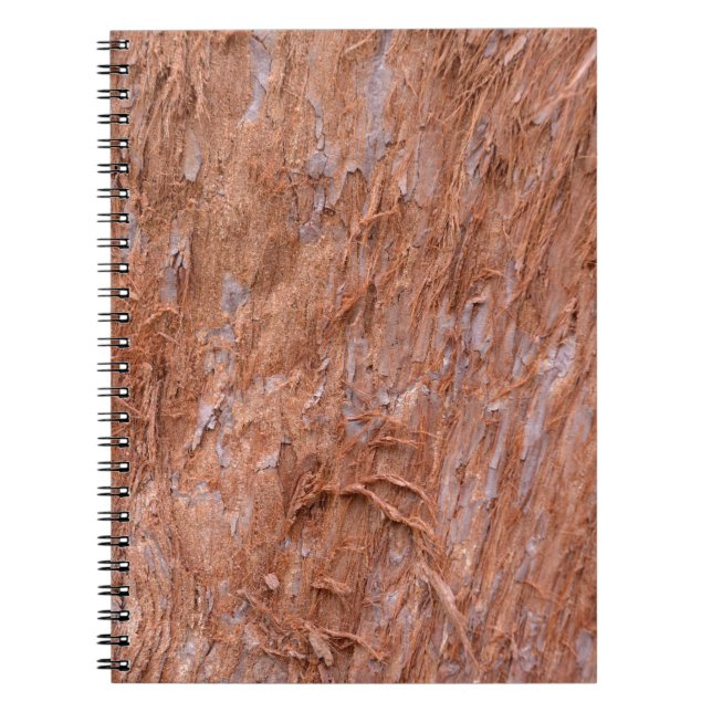 Caderno Espiral casca de árvore na floresta (Frente)