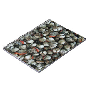Caderno Espiral Cascas de Cockle Sanguíneo