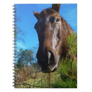 Caderno Espiral Castanho e Creme Corante Canto Azul