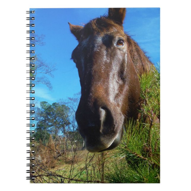 Caderno Espiral Castanho e Creme Corante Canto Azul (Frente)