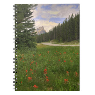 Caderno Espiral Castle Mountain Banff