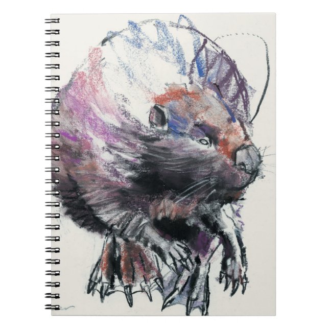 Caderno Espiral Castor 2001 (Frente)