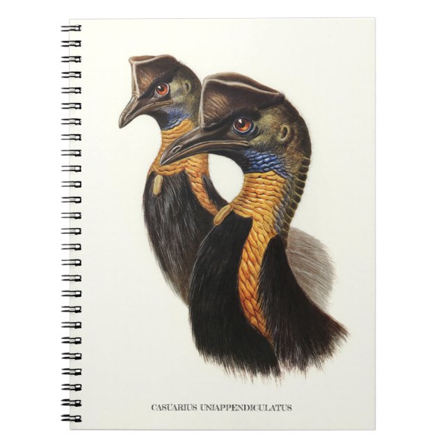 Caderno Espiral Casujas de norte, aves Vintage (Frente)
