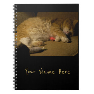 Caderno Espiral Cat Nap