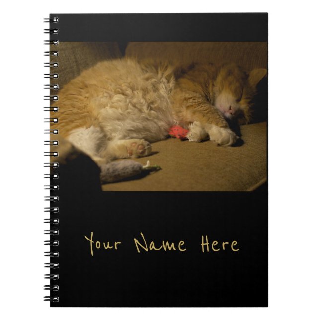 Caderno Espiral Cat Nap (Frente)