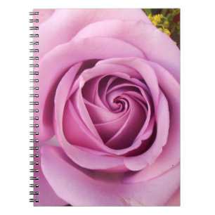 Caderno Espiral Catejne