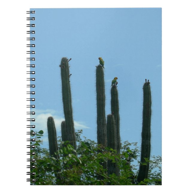 Caderno Espiral Catos com o notebook Lorikeets Bonaire (Frente)