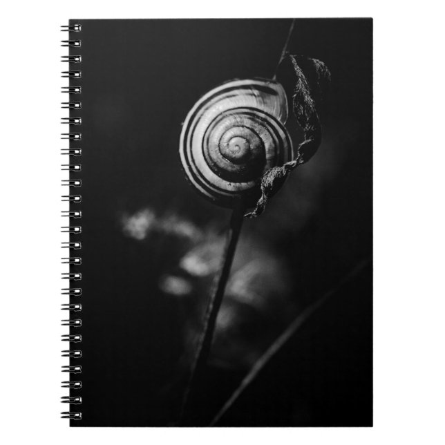 Caderno Espiral cauda de caracol (Frente)