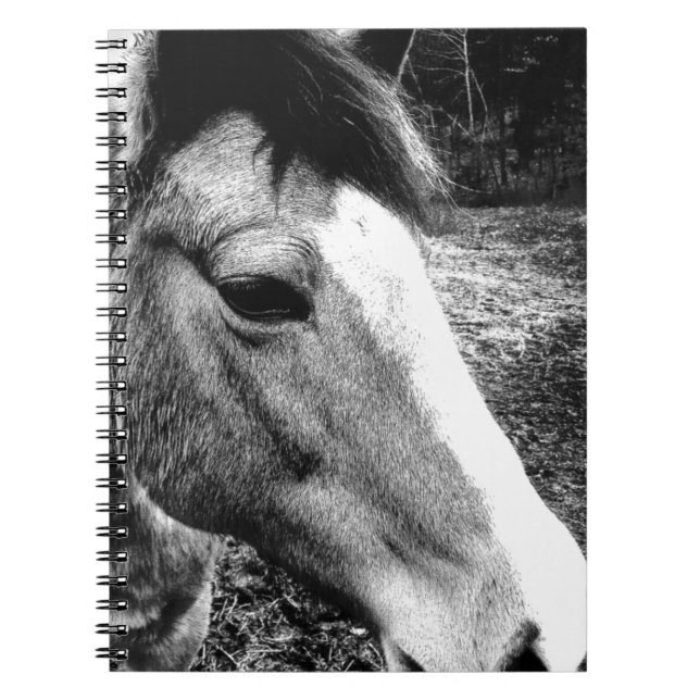 Caderno Espiral Cavalo (Frente)