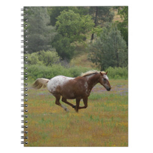 Caderno Espiral Cavalo Appaloosa