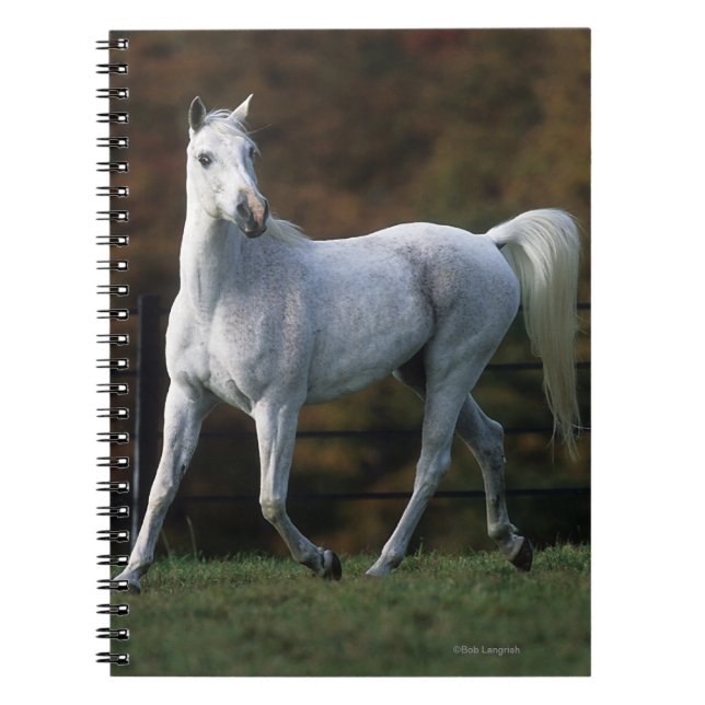 Caderno Espiral Cavalo árabe que funciona 1 (Frente)