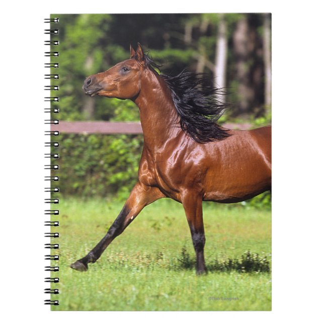 Caderno Espiral Cavalo árabe que funciona 2 (Frente)