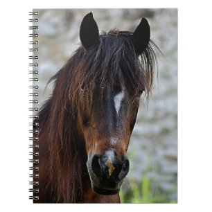 Caderno Espiral Cavalo bonito de Brown
