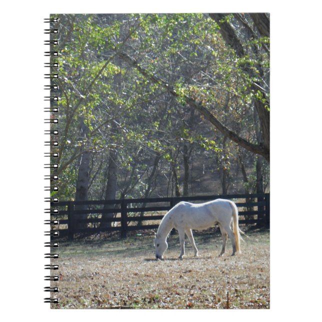 Caderno Espiral Cavalo Branco em árvores (Frente)