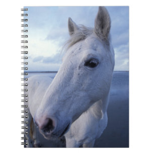 Caderno Espiral Cavalo Camargue