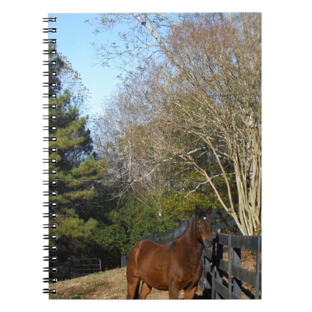 Caderno Espiral Cavalo castanho contra cerca (Frente)