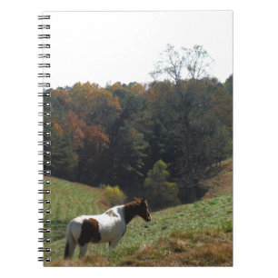Caderno Espiral Cavalo castanho e branco na lagoa de outono