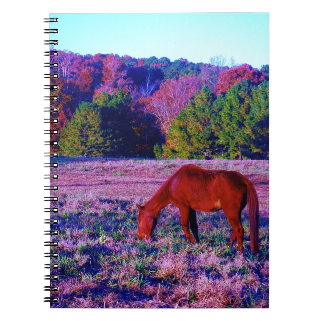 Caderno Espiral Cavalo castanho na grama roxa (Frente)