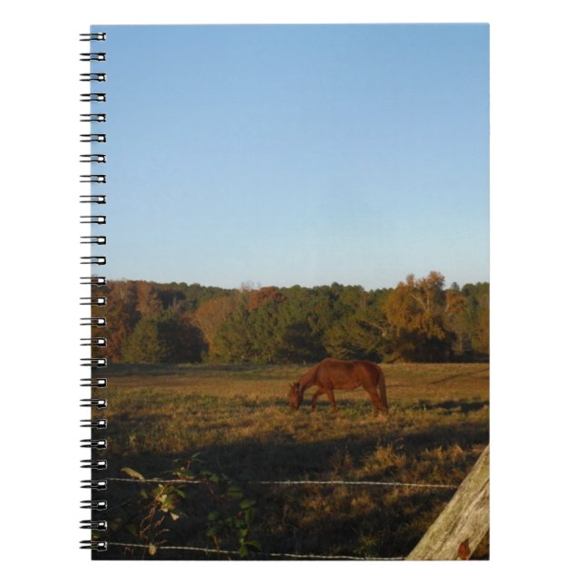 Caderno Espiral Cavalo castanho no Sol (Frente)
