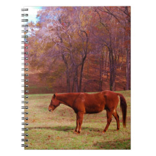 Caderno Espiral Cavalo castanho num campo de grama