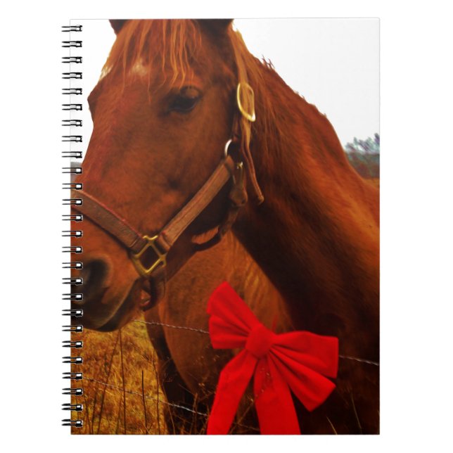 Caderno Espiral Cavalo com Arco Vermelho (Frente)