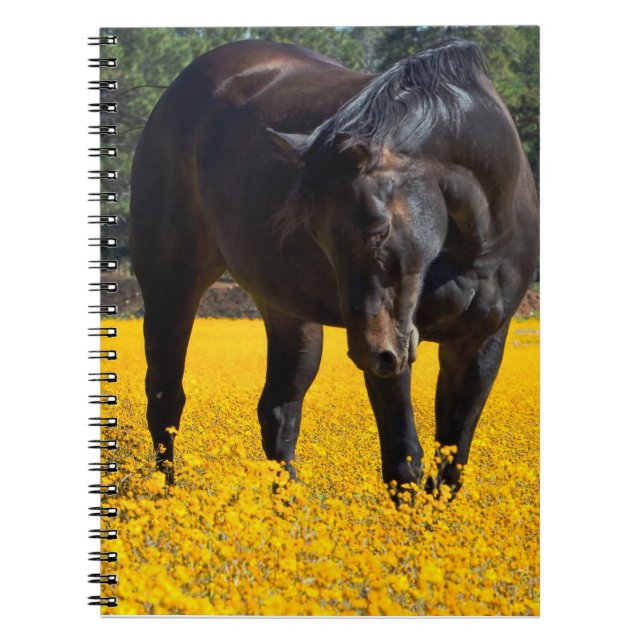Caderno Espiral Cavalo de Baía num Campo de Flores Amarelas (Frente)
