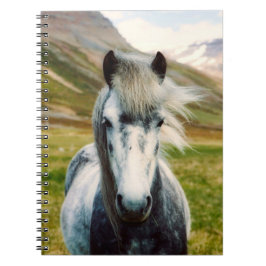 Caderno Espiral Cavalo de Cinza selvagem nas montanhas