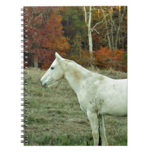 Caderno Espiral Cavalo de Creme Branco em um Campo de Outono