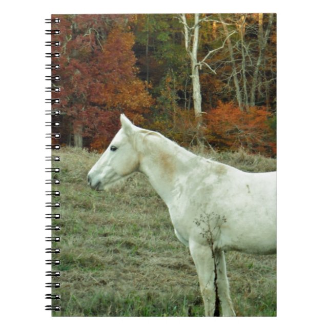 Caderno Espiral Cavalo de Creme Branco em um Campo de Outono (Frente)