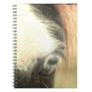 Caderno Espiral Cavalo de Olhos Azuis Grunge