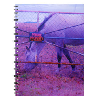 Caderno Espiral Cavalo de Propriedade Privada Roxo